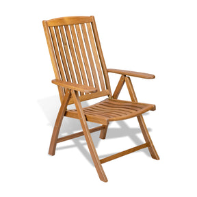 Reclining Arm Chair - 60071